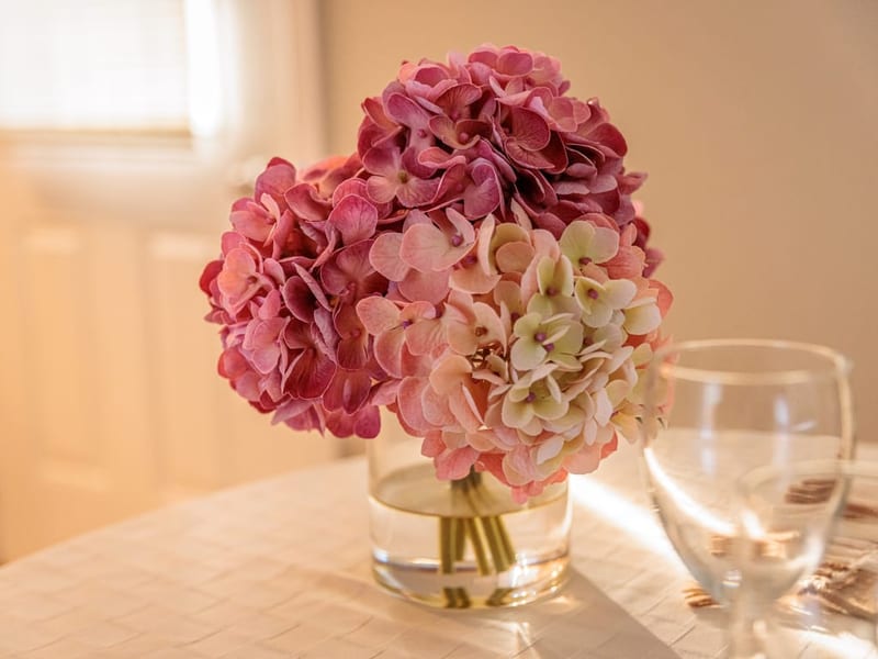 Pink hydrangea bouquet in a glass vase on the cottage dining table set with wine glasses by a sunlit window