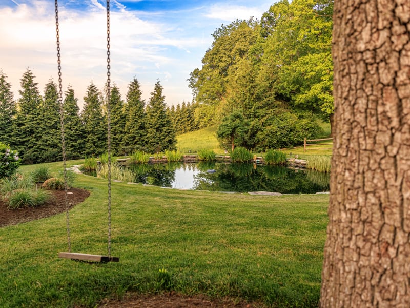The property's tranquil pond framed by mature trees with the cottage beyond